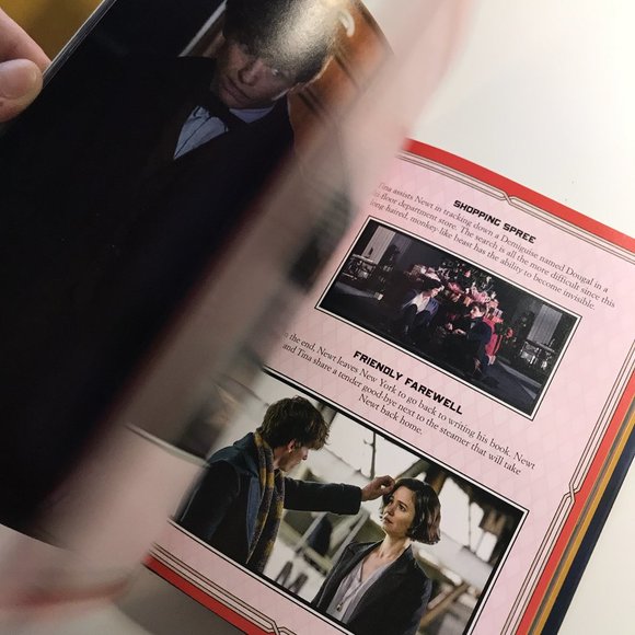 Fantastic Beasts and Where to Find Them: Character - Picture 11 of 16